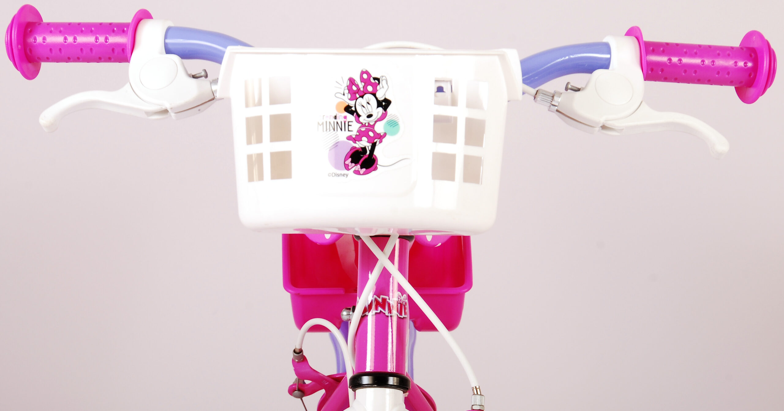 Minnie Cutest Ever 14 inch-11